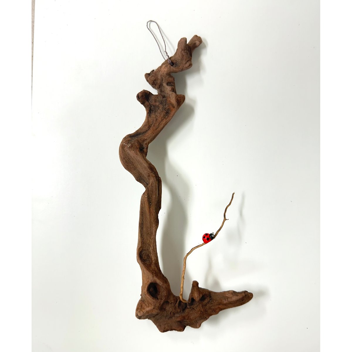 流木インテリアハンガーno.52 流木ハンガー 53cm H22021 流木壁掛け 流木インテリア 流木壁