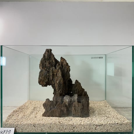 気孔石山（美型） 一点物の水槽オブジェ No. 4950  (45cm水槽)(W約23cm/H約29cm)