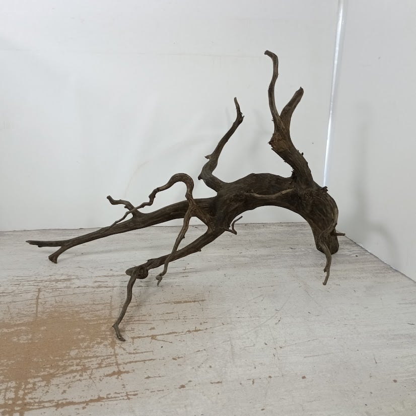 ネシア流木 ブラックタイプ 2Lサイズ 1点ものNo.1392【W約47cm