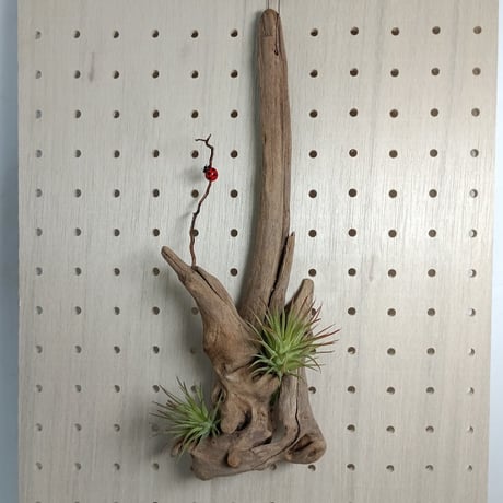 CATEGORY 流木（全種類） | 流木専門店のアクアリバー/アクアリウム