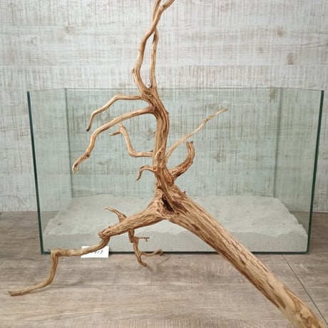 お買い得ビッグネシア流木 ブラウンタイプ　3Lサイズ　1点ものNo.1819【W約 54cm】