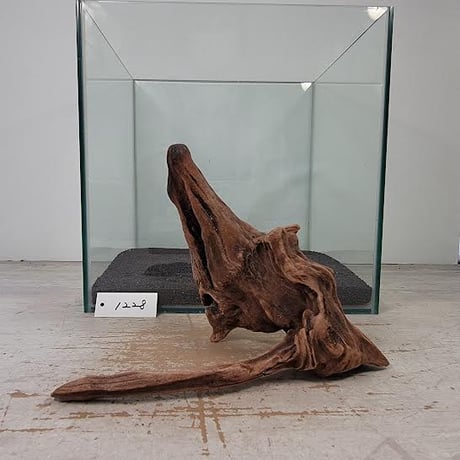 流木　約52㎝ fit=scale-down,w=1200