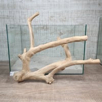 ハンギング流木 (てんとう虫装飾付き） No.1951 | 流木専門店のアクア
