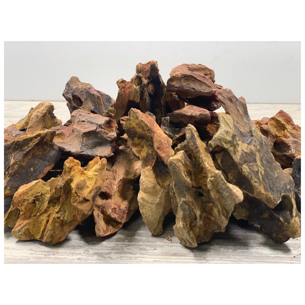 気孔石SS 10㎏セット（kgあたり530円） | 流木専門店のアクア