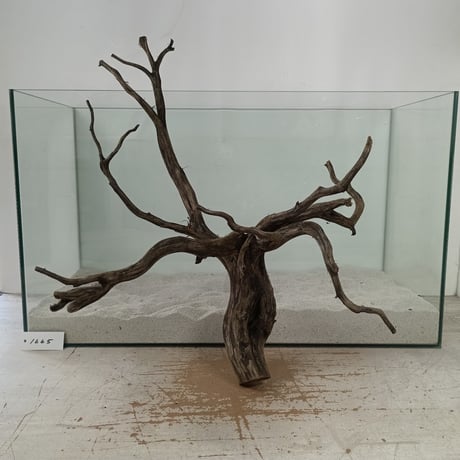 CATEGORY ブラックブランチ | 流木専門店のアクアリバー/アクアリウム