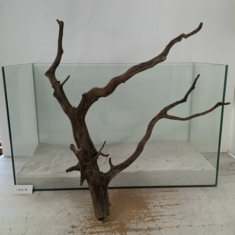 CATEGORY ブランチ系流木 | 流木専門店のアクアリバー/アクアリウム