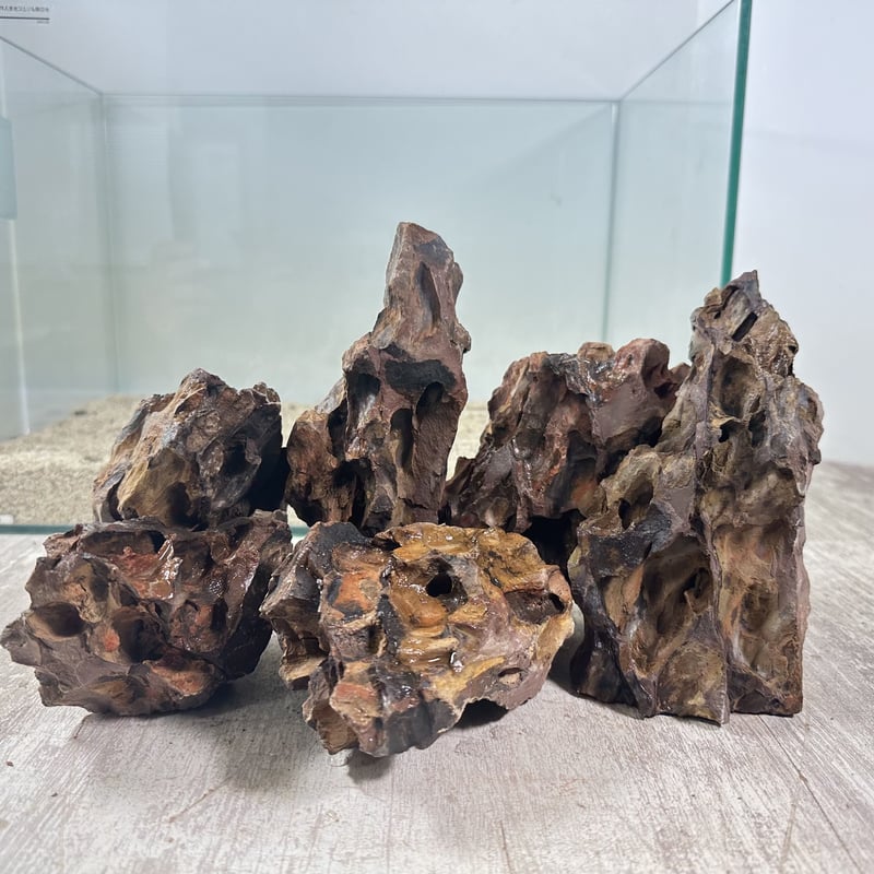 Authur　気孔石　14kg Authur 気孔石 14kg Authur 気孔石 14kg 楽天市場】カミハタ