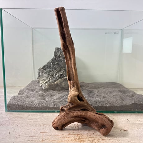 CATEGORY 流木（全種類） | 流木専門店のアクアリバー/アクアリウム