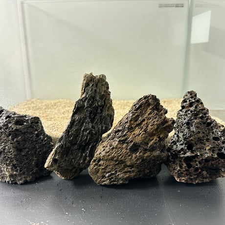 コエポン様　流木 自然形状　約80×50×47 流木シリーズ - 株式会社ソネケミファ
