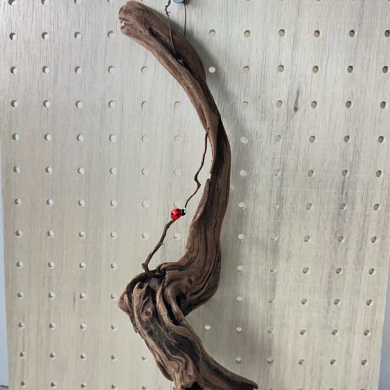 ハンギング流木 (てんとう虫装飾付き） No.4847 | 流木専門店のアクア