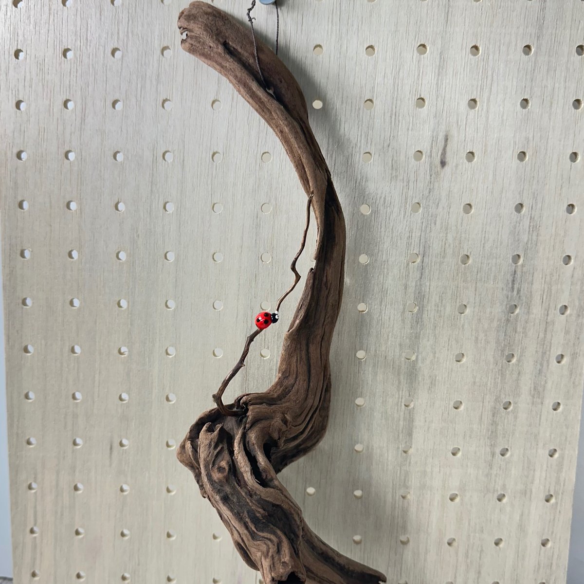 ハンギング流木 (てんとう虫装飾付き） No.4847 | 流木専門店のアクア