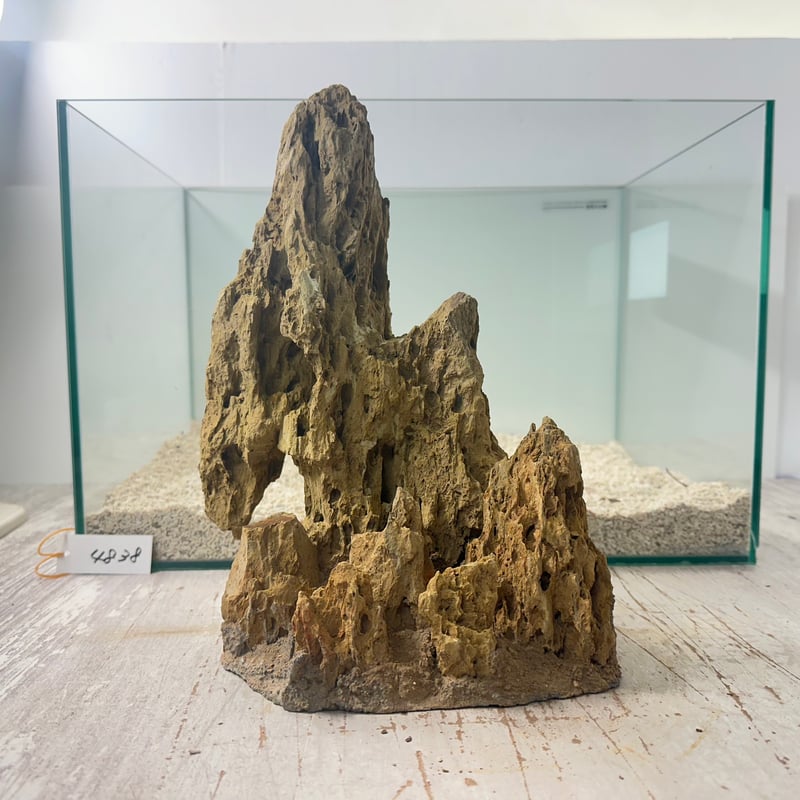 凹み　天然石　砂岩　茨城県海岸　水槽　ジオラマ　オブジェ　文鎮　230g 凹み天然石砂岩茨城県海岸水槽ジオラマオブジェ文鎮230g