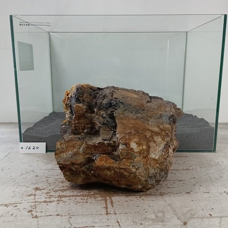 CATEGORY 1点もの（大型） | 流木専門店のアクアリバー/アクアリウム