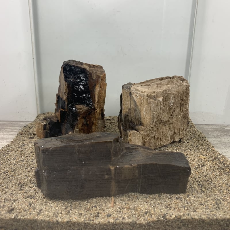 木化石 レギュラー10kg セット（kgあたり520円） | 流木専門店のアクア