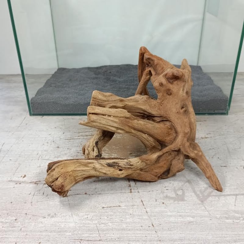 装飾用最高級流木★マングローブ系プレミアム fit=scale-down,w=1200