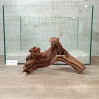 穴あきマングローブ系流木   Mサイズ　オンリーワン ★現物撮影  1点　No.1802(W約26㎝）