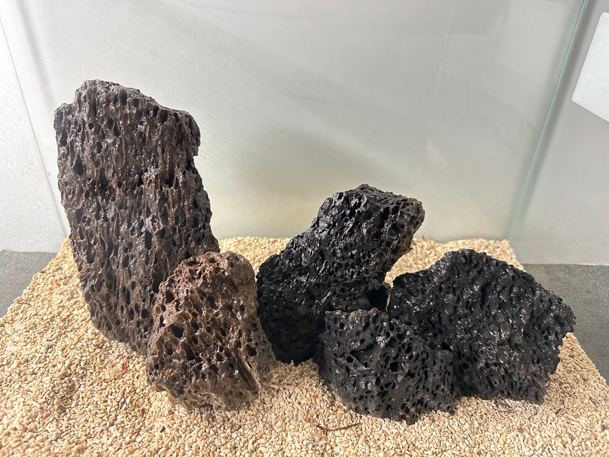 千軒石。中型 火山岩 黒色 不規則形状 千軒石。中型 火山岩 黒色 不規則形状 千軒石。中型 火山岩 黒色 不