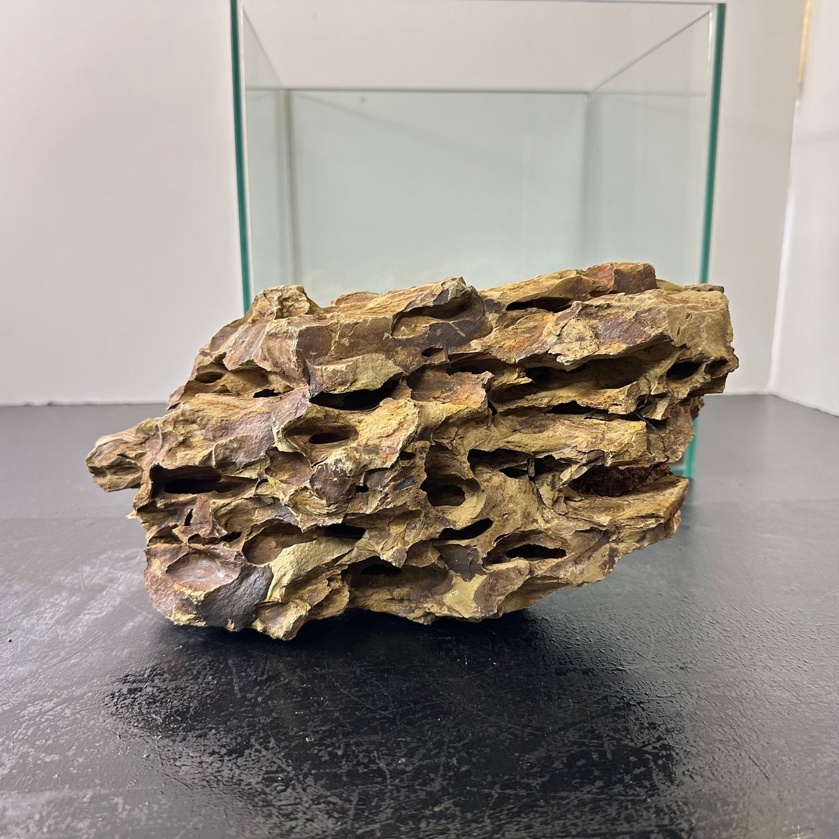 BIG気孔石 1点もの No.5563（W約27cm)(60cm水槽） | 流木専門店の