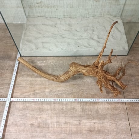 超お買い得ロングネシア流木 ブラウンタイプ　1点ものNo.1822【W約 59cm】