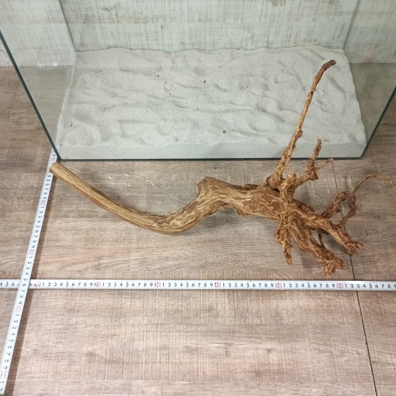 超お買い得ロングネシア流木 ブラウンタイプ 1点ものNo.1822【W約 59cm