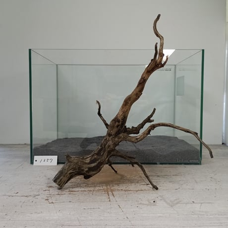 CATEGORY ブランチ系流木 | 流木専門店のアクアリバー