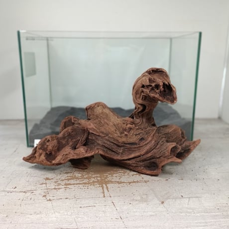 流木専門店のアクアリバー/アクアリウム/グリーンインテリア