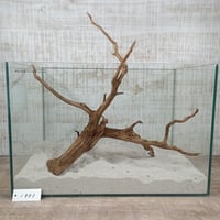 ネシア流木 ブラウンタイプ　3Lサイズ　1点ものNo.1883【W約51cm】