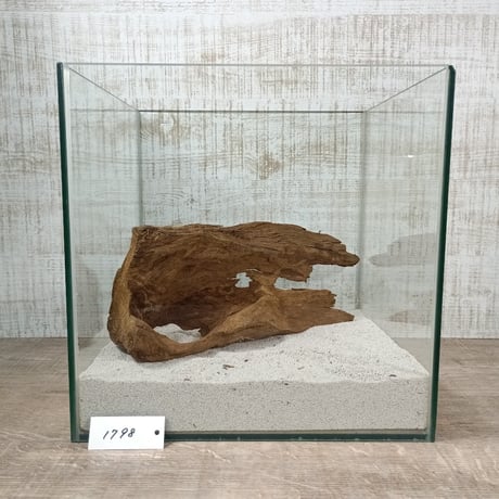 希少山型流木   Lサイズ　オンリーワン ★現物撮影  1点　No.1798(W約31㎝）  ★★オブジェ、インテリアにも★★