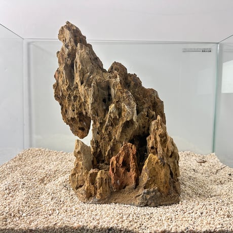 気孔石山（美型） 一点物の水槽オブジェ No. 5068  (45cm水槽)(W約21cm/H約27cm)