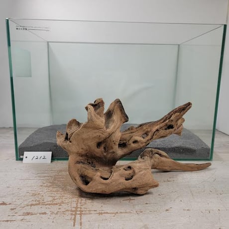 CATEGORY 流木（全種類） | 流木専門店のアクアリバー/アクアリウム