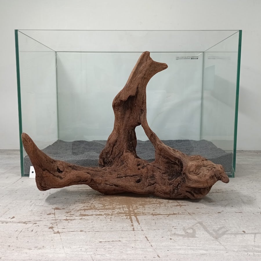 穴あきフォルム マングローブ系流木 MLサイズ オンリーワン