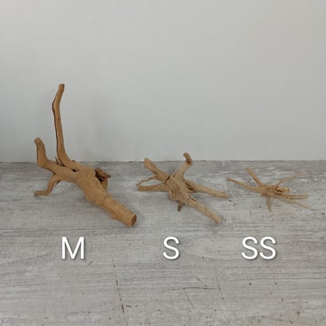 ナチュラルブランチ　SSサイズ　約10㎝　おまかせ40本セット