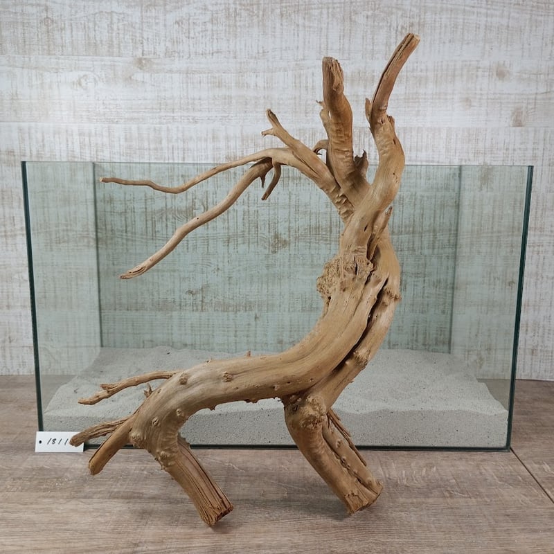 流木 天然木 オブジェ 希少 Z00246 流木 オブジェ 天然木 | MANSIKKA antiquesMANSIKKA antiques