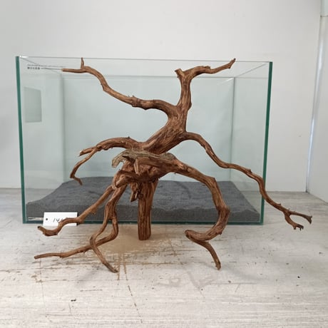 流木ア一ト、置物。 楽天市場】流木 アート（置物｜インテリア小物・置物