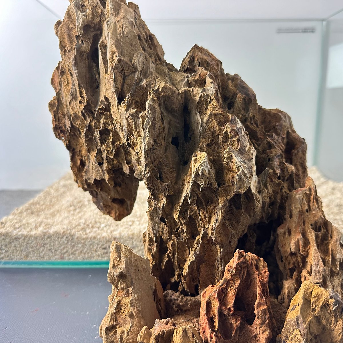 気孔石山（美型） 一点物の水槽オブジェ No. 5068 (45cm水槽)(W約21cm/H