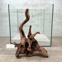 マングローブ系流木   Mサイズ　オンリーワン ★現物撮影  1点　No.1805(W約27㎝）