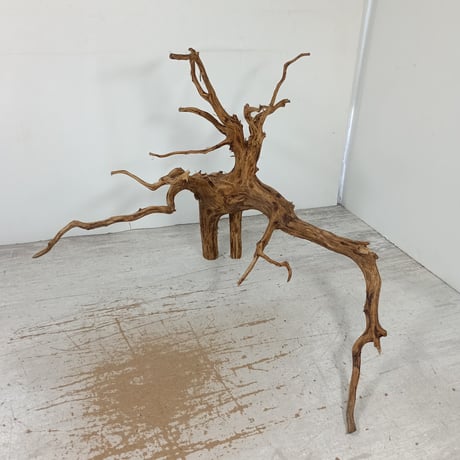 CATEGORY ブラウンブランチ | 流木専門店のアクアリバー/アクアリウム