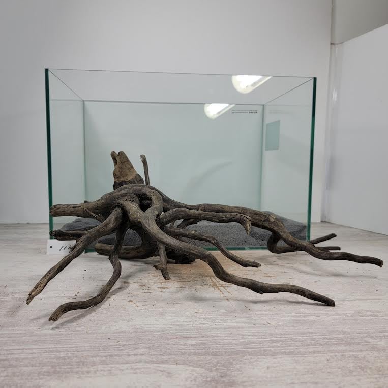 もふ様専用】大型全長71㌢アク抜き済流木no.50 KPL-50 【