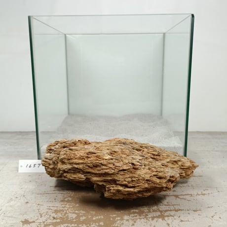 BIG気孔石　１点もの　No.1657（W約27cm)(30cm水槽）