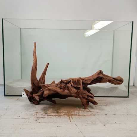 CATEGORY 2L | 流木専門店のアクアリバー/アクアリウム/グリーンインテリア