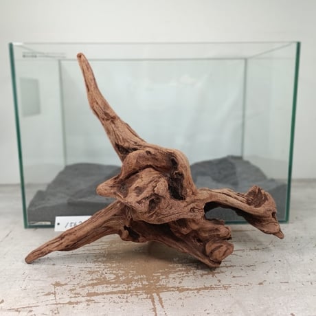 流木【火焔】 流木【火焔】 流木シリーズ - 株式会社ソネケミファ