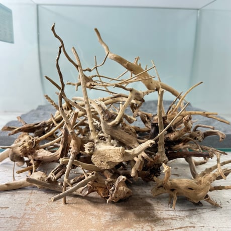 り*う様 特大　流木　アクアリウム カミハタ 流木 特大 形状お任せ アクアリウム 水槽 180サイズ