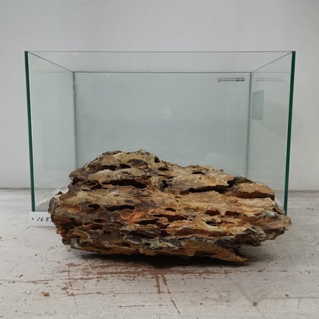 BIG気孔石塊　１点もの　No.1651（W約33cm)(45cm水槽）