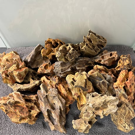 気孔石Sサイズ  おまかせ５Kg（kgあたり596円）（45cm水槽）