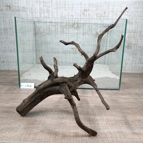 CATEGORY ブラックブランチ | 流木専門店のアクアリバー/アクアリウム