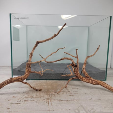 大型　流木【2129】 大型 流木【2129】 Amazon | オートバイ フルエキゾースト