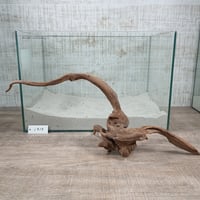 ロングマングローブ系流木   　オンリーワン ★現物撮影  1点　No.1919(W約49㎝）