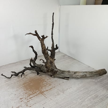 インテリア　観賞用　ディスプレイ　高級流木　黒色褐色A アンティーク インテリア 観賞用 ディスプレイ 高級流木 黒色褐色A アンティーク