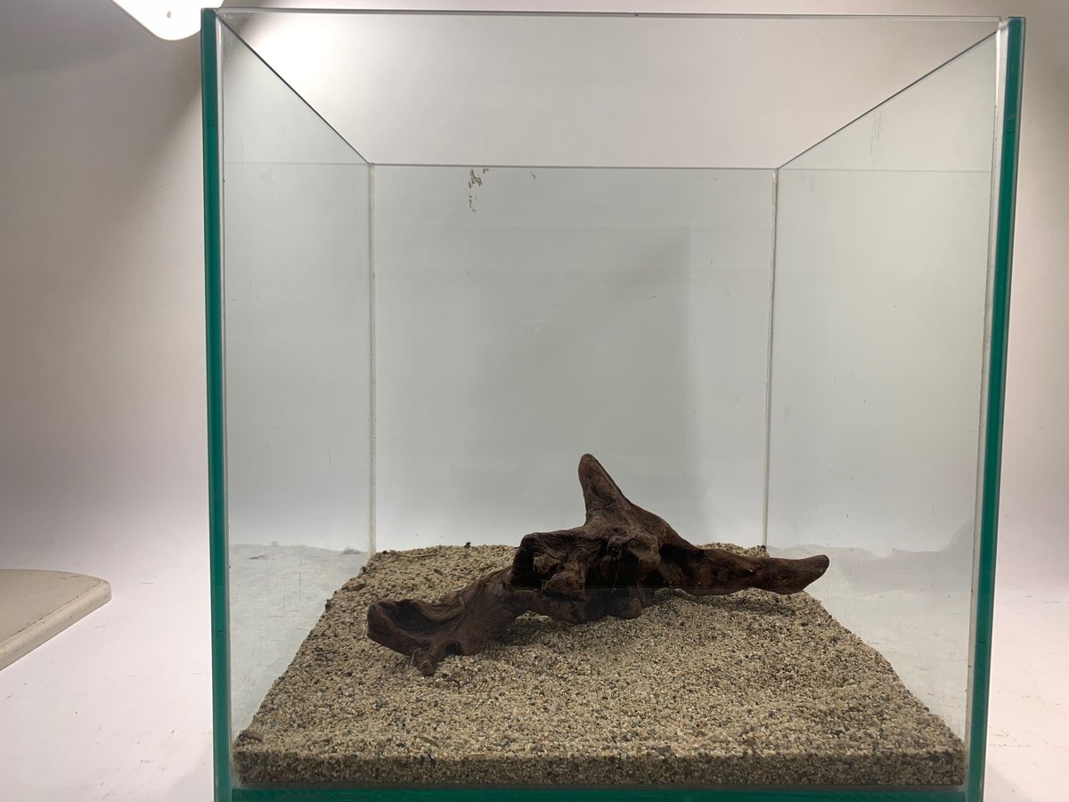 流木中サイズです！ fit=scale-down,w=1200