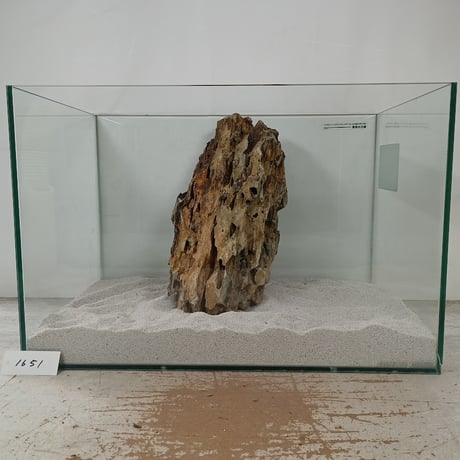 BIG気孔石塊　１点もの　No.1651（W約33cm)(45cm水槽）